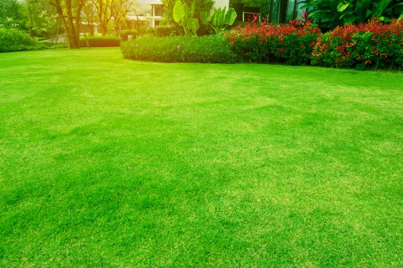 Lawn and Turf Design